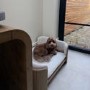 Beige Fabric Pet Bed with Oak Ribbed Sides - Washable Cover