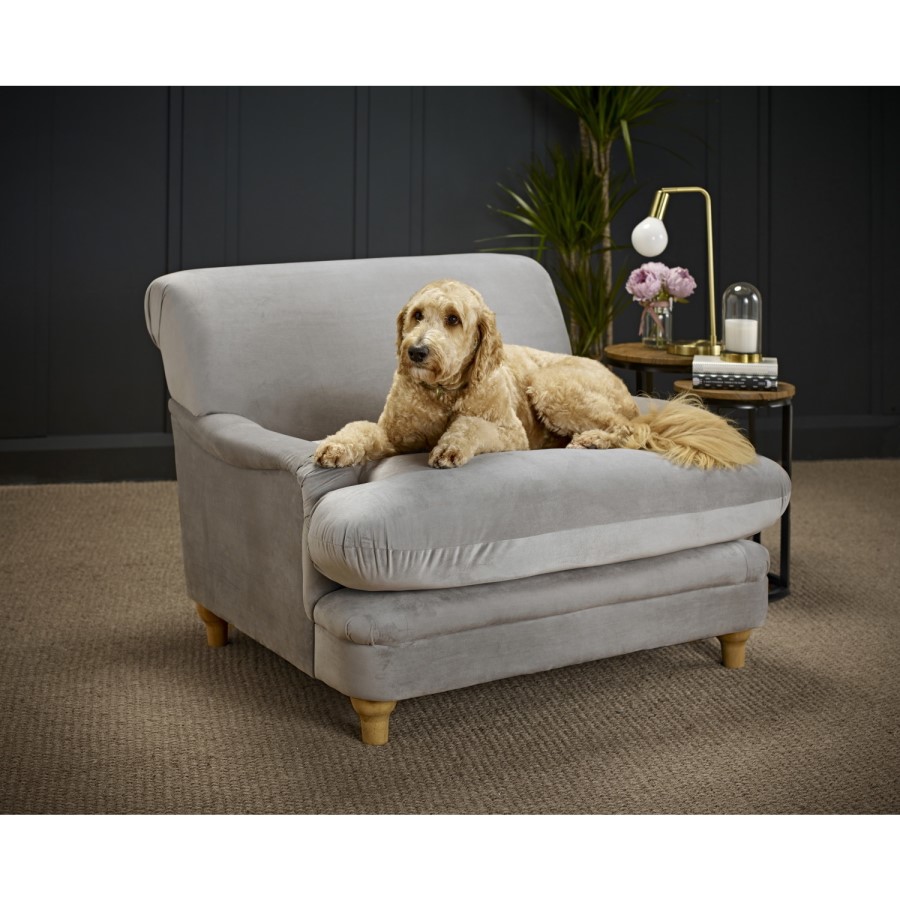Plumpton Grey Velvet Armchair - LPD
