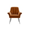 Burnt Orange Velvet Armchair with Black Legs - Contemporary - Paris