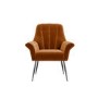 Burnt Orange Velvet Armchair with Black Legs - Contemporary - Paris