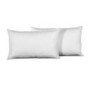 Hollowfibre Pillow Cotton Pack of 2