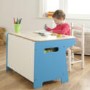 Millhouse Race Track Toy Box & Desk in Blue