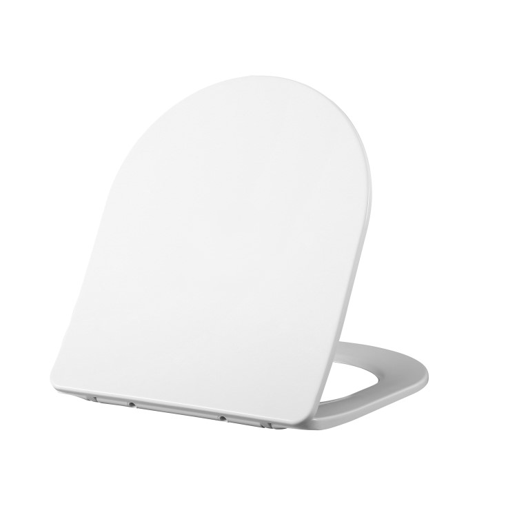 Back to Wall Rimless Toilet and Soft Close Seat - Roma