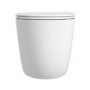 Back to Wall Rimless Toilet and Soft Close Seat - Roma