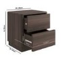 Modern Walnut 2 Drawer Bedside Table - Rowan