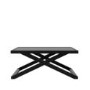 Small Rectangular Black Coffee Table - Sage