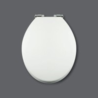 Soft Close Toilet Seat in White with Chrome Hinges Soft Close Toilet Seat in White with Chrome Hinges