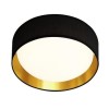 LED Flush Fitting Light in Black &amp; Gold by Searchlight