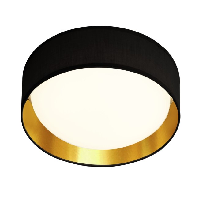LED Flush Fitting Light in Black & Gold by Searchlight