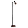 Black Floor Lamp with Copper Shade
