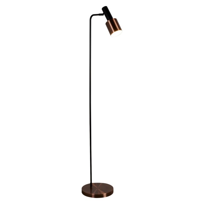 Black Floor Lamp with Copper Shade