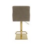 Set of 2 Mink Velvet Adjustable Swivel Bar Stools with Gold Base - Sonny