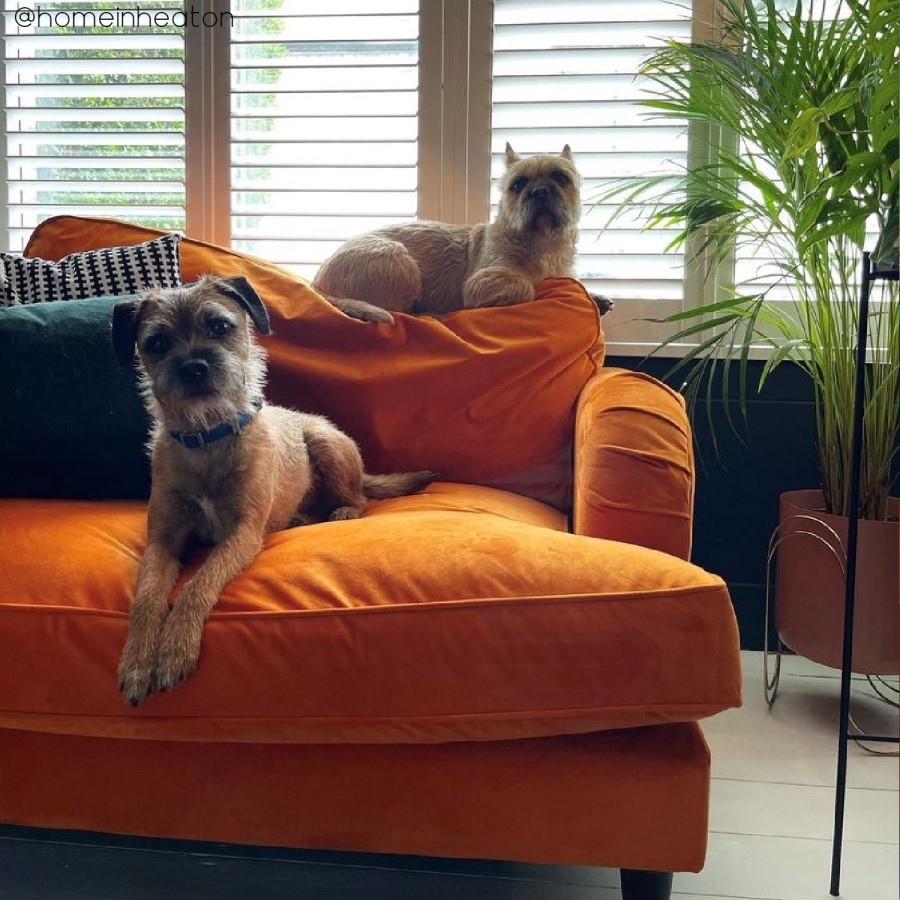 GRADE A2 - Opulence Orange Velvet 2 Seater Sofa - Payton