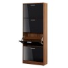 LPD Strand Black High Gloss and Walnut Shoe Storage Cabinet with 4 Shoe Compartments 24 Pairs
