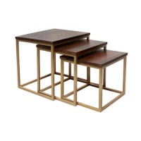 Dark Wood Side Tables with Gold Metal Finish - Suri