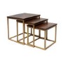 Dark Wood Side Tables with Gold Metal Finish - Suri