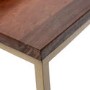 Dark Wood Side Tables with Gold Metal Finish - Suri
