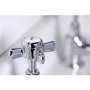 Elod Pair of Traditional Basin Pillar Taps