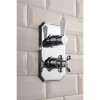 Traditional Twin Concealed Shower Mixer Valve