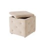 LPD Valentina Beige Velvet Storage Box