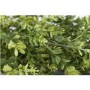 Artificial Plant Wall Tile 80 x 80cm - Vistafolia 