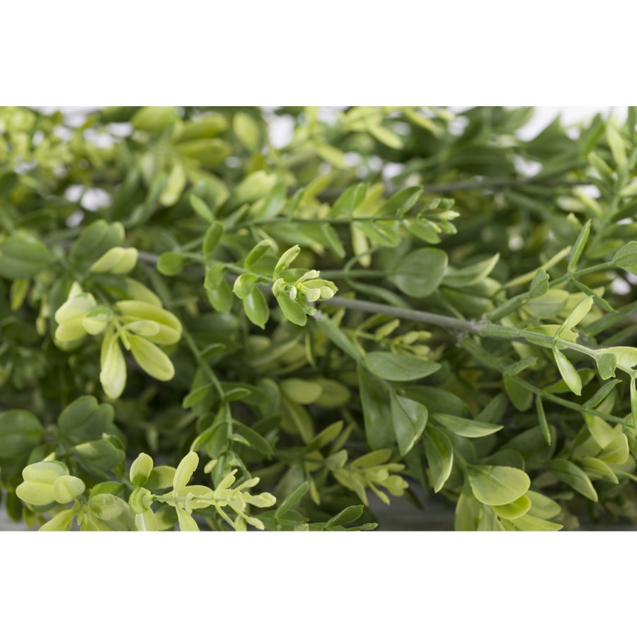 Artificial Plant Wall Tile 80 x 80cm - Vistafolia 