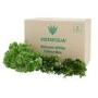 Green & White Artificial Flower Box 41 x 29cm- Vistafolia 