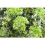 Green & White Artificial Flower Box 41 x 29cm- Vistafolia 
