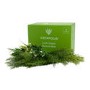 Lush Green Artificial Flower Box 41 x 29cm  - Vistafolia 