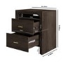 Dark Mango Wood 2 Drawer Bedside Table - Vixen