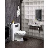 Polymarble Back to Wall WC Toilet Unit - Without Toilet - W500 x H790mm