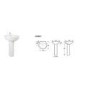 Anise Pedestal Sink - 1 Tap Hole