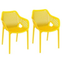 Spring Yellow Dining Chair with Arms - Set of 2