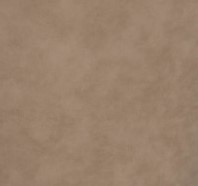 Beige Beige