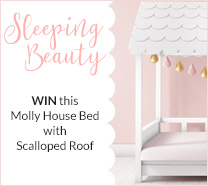 Molly Bed Comp