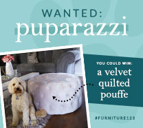 Wanted: Puparazzi - WIN a Large Velvet Quilted Pouffe